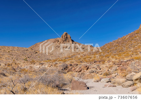 Sunny view of the beautiful landscape around Petroglyph Canyon Trail Sunny view of the beautiful landscape around Petroglyph Canyon Trail 73607656