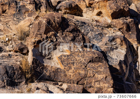 Sunny view of the beautiful landscape around Petroglyph Canyon Trail Sunny view of the beautiful landscape around Petroglyph Canyon Trail 73607666
