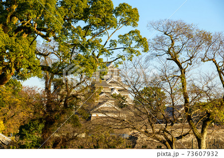 熊本城 美しい晴天空 天高く 夕焼けの輝き風景 2020年 熊本城 美しい晴天空 天高く 夕焼けの輝き風景 2020年 73607932