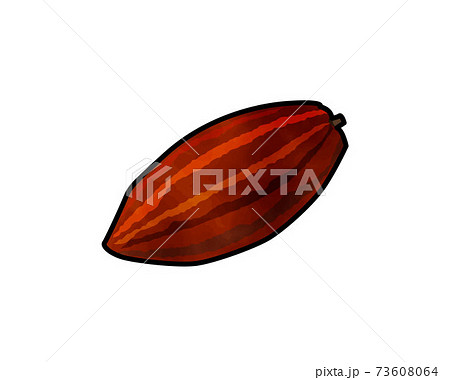 免疫力を高める食材 糖質制限 水彩 カカオマス チョコレートのイラスト素材