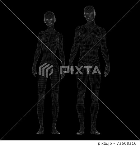 ワイヤーフレーム　男女　ヌード　比較　perming3DCGイラスト素材 73608316
