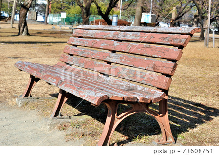 駿府城公園の冬の花壇 73608751