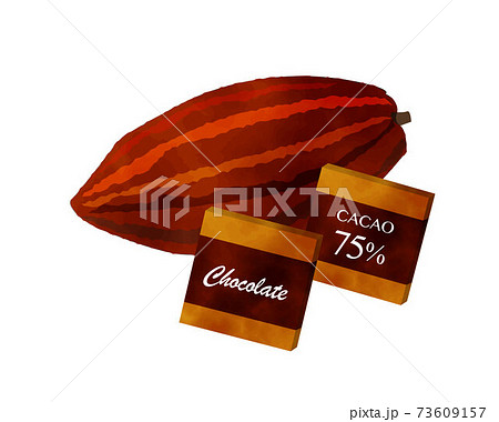 免疫力を高める食材／糖質制限／水彩／カカオマス／チョコレート 73609157