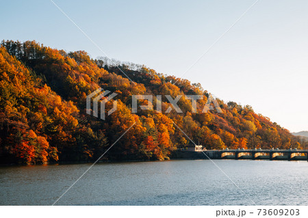 Nakdong river dam and autumn mountain in Andong, Korea Nakdong river dam and autumn mountain in Andong, Korea 73609203