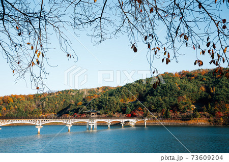Woryeonggyo Bridge on Nakdong river at autumn in Andong, Korea Woryeonggyo Bridge on Nakdong river at autumn in Andong, Korea 73609204