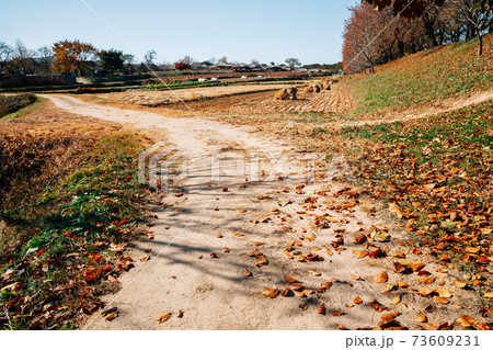 Autumn country road at Andong Hahoe Folk Village in Andong, Korea 73609231
