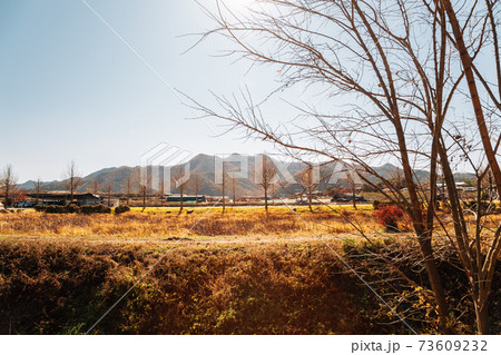 Andong Hahoe Folk Village at autumn in Andong, Korea 73609232