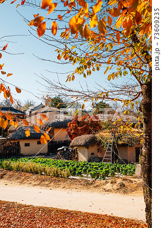 Andong Hahoe Folk Village at autumn in Andong, Korea 73609235