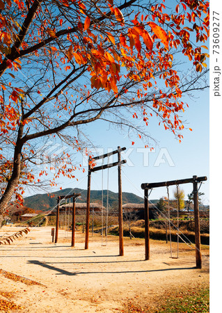 Korean traditional swing with maple at Andong Hahoe Folk Village in Andong, Korea 73609277