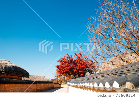 Andong Hahoe Folk Village at autumn in Andong, Korea Andong Hahoe Folk Village at autumn in Andong, Korea 73609314