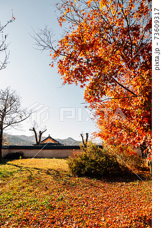Andong Hahoe Folk Village at autumn in Andong, Korea Andong Hahoe Folk Village at autumn in Andong, Korea 73609317