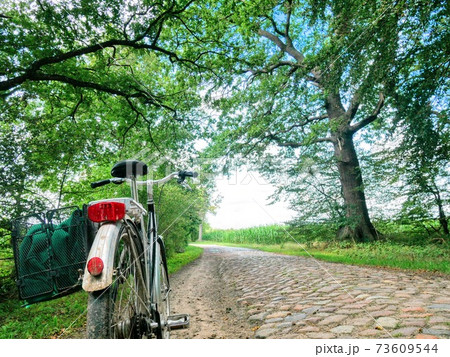 ドイツの田舎でサイクリング 73609544