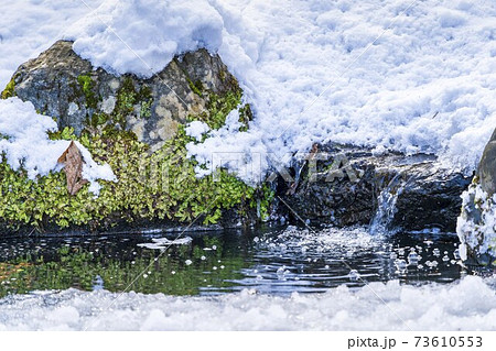 流れ出る雪解け水と池 73610553