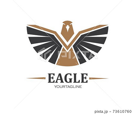 falcon,eagle logo icon vector illustration design 73610760