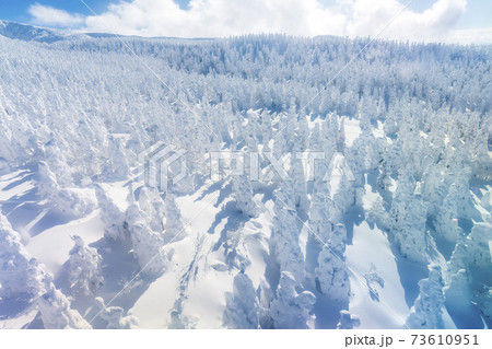 蔵王の樹氷と青空 山形県山形市 蔵王の樹氷と青空 山形県山形市 73610951