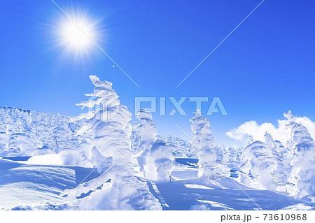 蔵王の樹氷と青空 山形県山形市 蔵王の樹氷と青空 山形県山形市 73610968