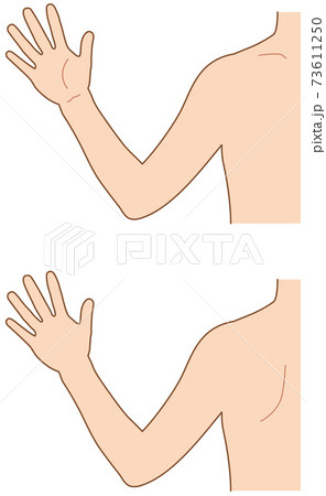 肩まわり　後前 73611250
