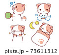 猫さんの病気予防セット・うがい・手洗い・マスク・睡眠 73611312