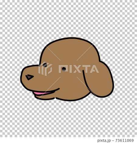 Brown dog dachshund 73611869