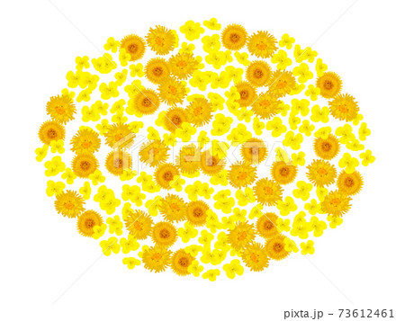 たんぽぽと菜の花の楕円埋めつくしフレームのイラスト素材 たんぽぽと菜の花の楕円埋めつくしフレームのイラスト素材