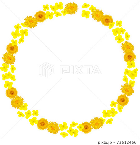たんぽぽと菜の花の円フレームのイラスト素材