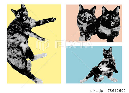 リアルな猫 写真風イラストのイラスト素材