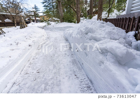 冬の上杉神社　積雪のある参道　山形県米沢市 73613047