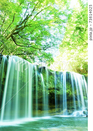 熊本県　新緑の鍋ヶ滝 73614025