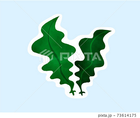 免疫力を高める食材／糖質制限／栄養食／水彩／白フチ／海藻 73614175