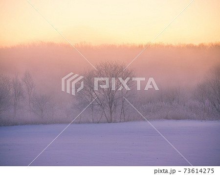 霧氷と気嵐 霧氷と気嵐 73614275