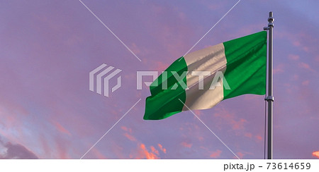 3d rendering of the national flag of the Nigeria 73614659