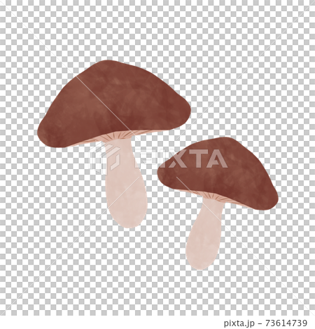 mushroom mushroom 73614739