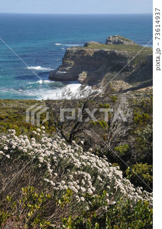南アフリカ、ケープ半島、喜望峰自然保護区、喜望峰 73614937