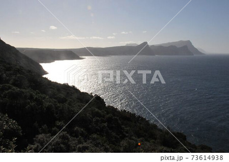 南アフリカ、ケープ半島の海岸、喜望峰自然保護区 南アフリカ、ケープ半島の海岸、喜望峰自然保護区 73614938