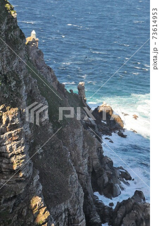 南アフリカ、ケープ半島、喜望峰自然保護区、ケープ・ポイント 73614953