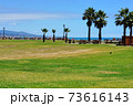 海辺の芝生 73616143