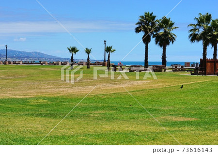 海辺の芝生 海辺の芝生 73616143