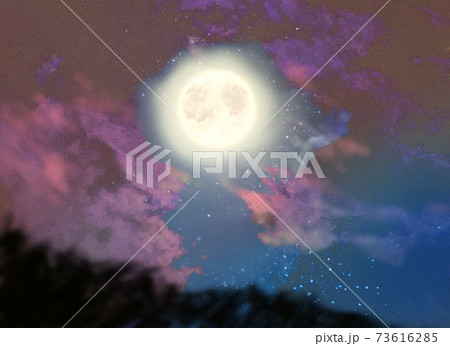 夕闇に輝く満月と草原のシルエットが風に靡く風景画 73616285