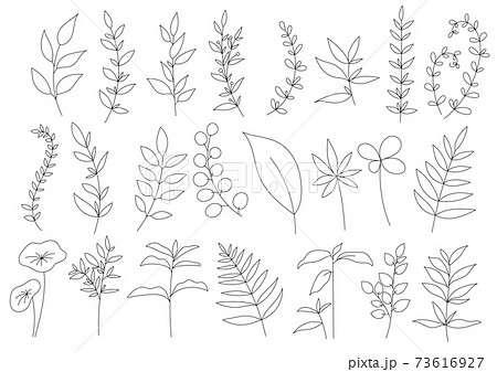 リーフ 植物の線画セット ベクター素材のイラスト素材