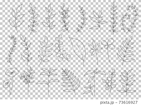 リーフ・植物の線画セット　ベクター素材 73616927
