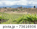 南カリフォルニアのワイナリー 73616936
