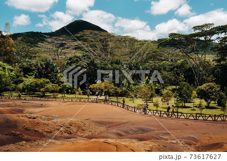 Seven colored earths in Mauritius, nature reserve, Chamarel. The green forest is behind us.Mauritius island 73617627
