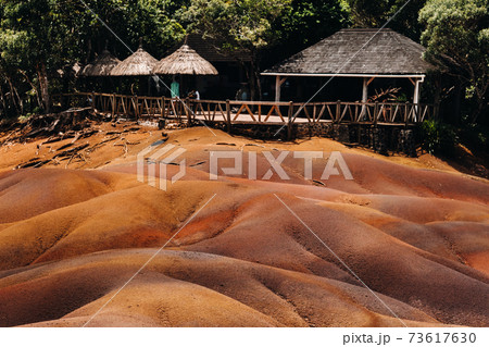 Seven colored earths in Mauritius, nature reserve, Chamarel. The green forest is behind us.Mauritius island 73617630