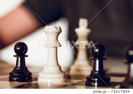 Chess pieces on chessboard. Playing chess at home Chess pieces on chessboard. Playing chess at home 73617894