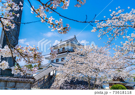 春の白石城と桜　【宮城県】 73618118