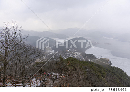 木 冬 グクサボン 73618441