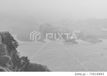 木 冬 グクサボン 73618863