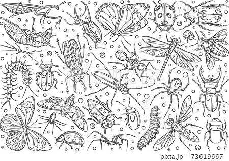Hand drawn insects ant and butterfly. 73619667
