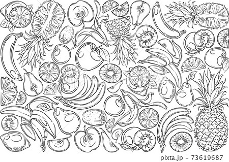 Hand drawn fresh fruits banana, pineapple Hand drawn fresh fruits banana, pineapple 73619687