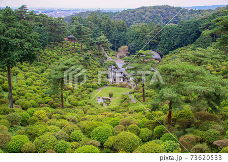 東京都 青梅市 秋 塩船観音寺 東京都 青梅市 秋 塩船観音寺 73620533